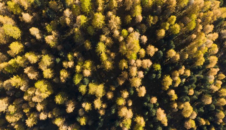 Wandern im Martelltal Wandern im Martelltal